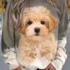 Vetements Azzlee Sweats Et Sweats A Capuche | Sweatshirt Decontracte A Imprime Ombre De Pattes De Chien Ample Et Col Rond Grise